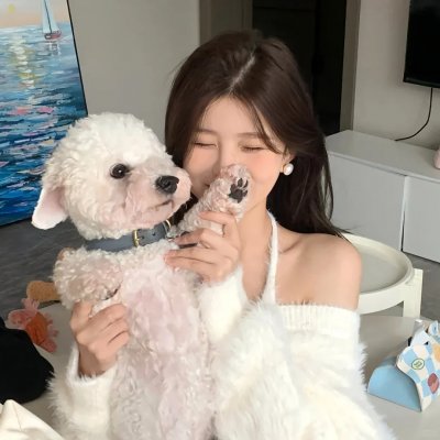第五区的女人